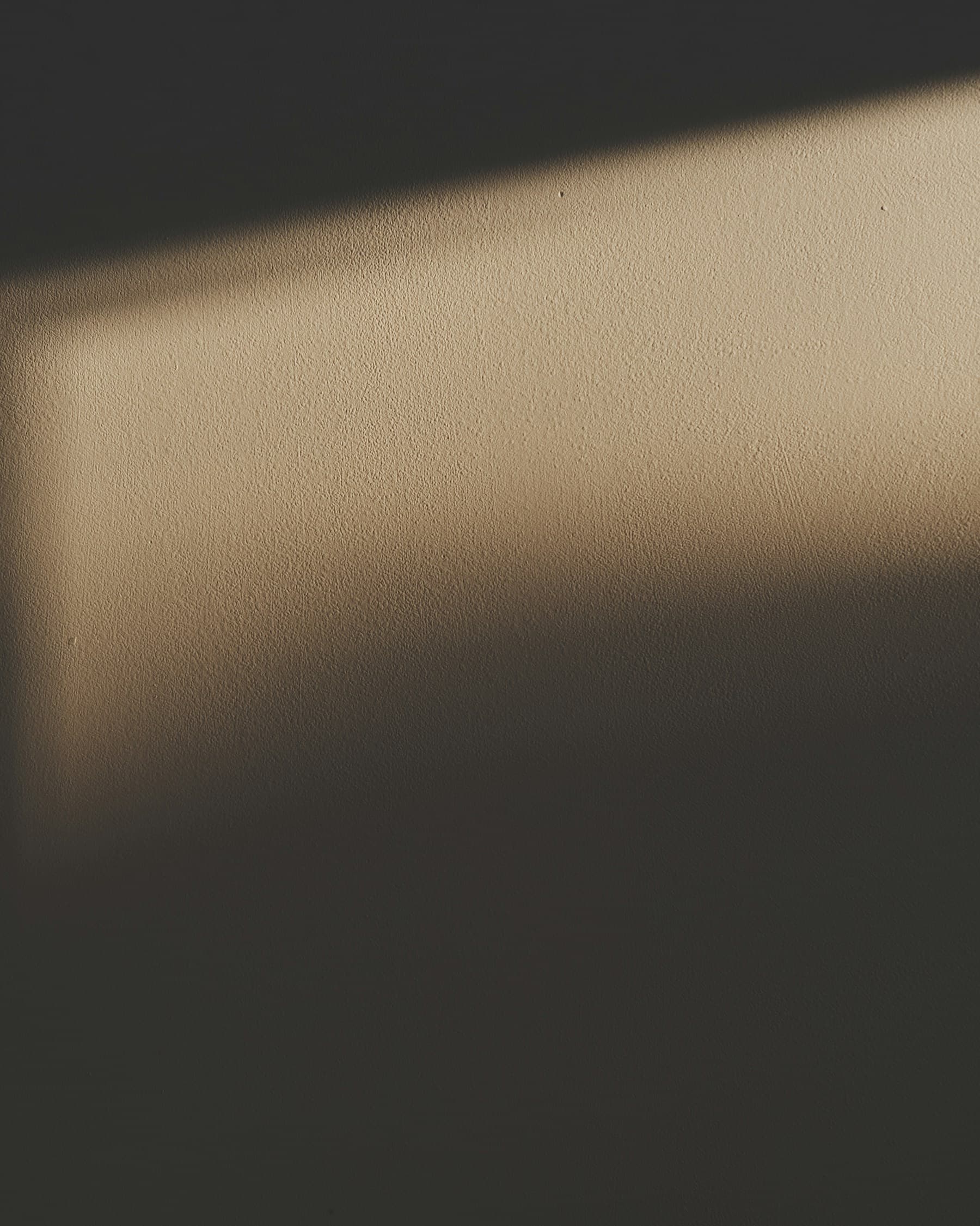 Afternoon light falling across a bare plaster wall.